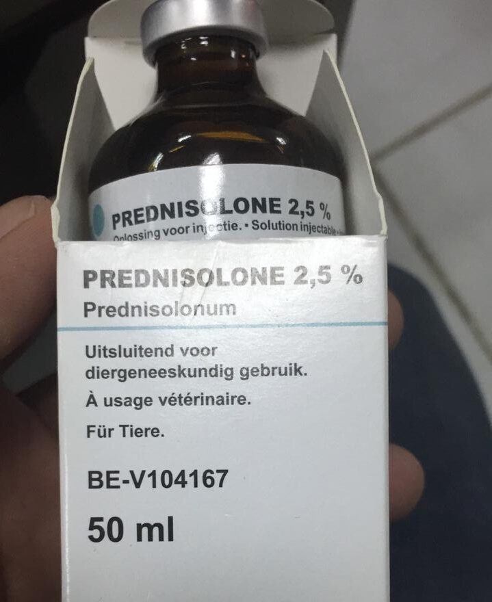 3553e86e-3464-46dc-a418-076c9f63 prednisolone 2.5 % injection - Image 1