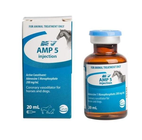 AMP-5-Injection-20ml AMP-5 Injection 20ml - Image 1