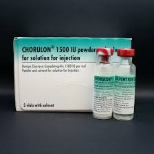 CHORULON-5000IU-5ML CHORULON 5000IU 5ML - Image 1