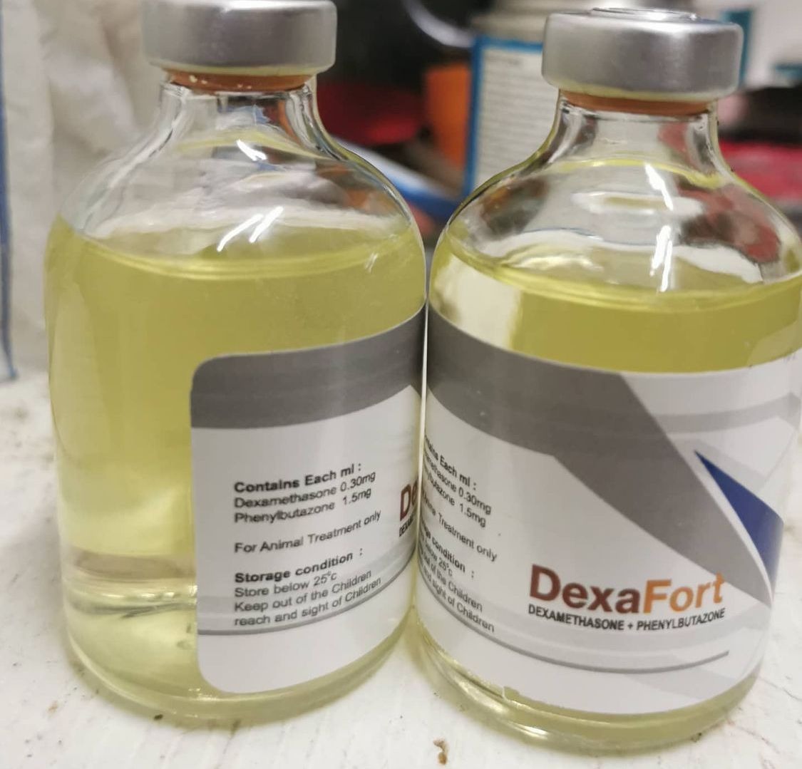 Dexafort-50-ml-1 Dexafort 50 ml - Image 1