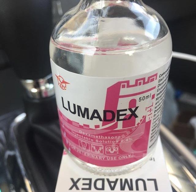 Lumadex-LUMADEX-50ml LUMADEX 50ml - Image 1