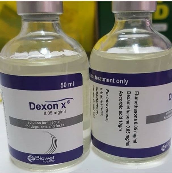 dexon-x-50ml dexon x 50ml - Image 1