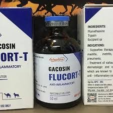 GACOSIN FLUCORT