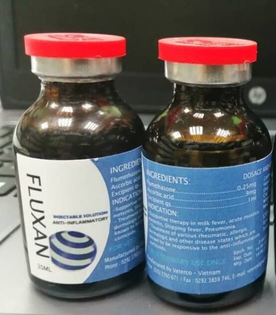 fluxan-20ml-e1630342529155 (2) fluxan 20ml - Image 1