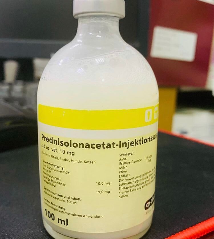 prednisolonacetat-injektion prednisolonacetat-injektion - Image 1