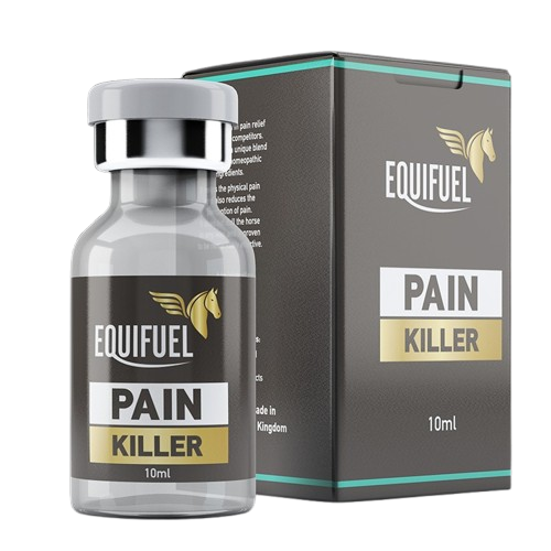 PAIN_killer_1-removebg-preview Pain Killer - Image 1